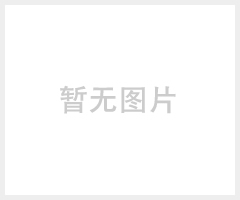 納米負(fù)離子粉（VK-F12）